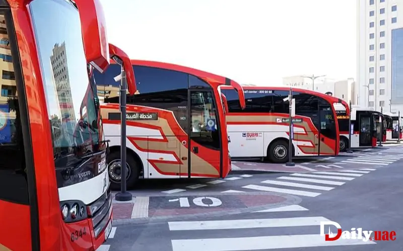 Dubai Bus Network
