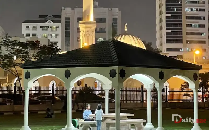 Best Time for visit Al Mahatta Park