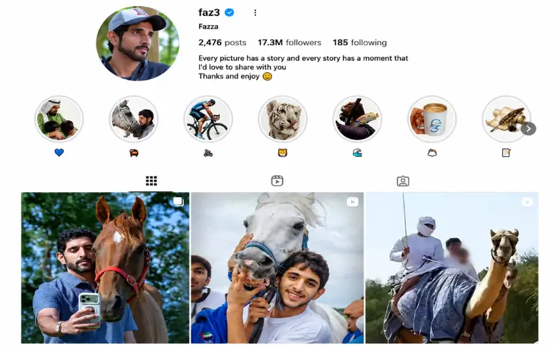 Sheikh Hamdan Instagram