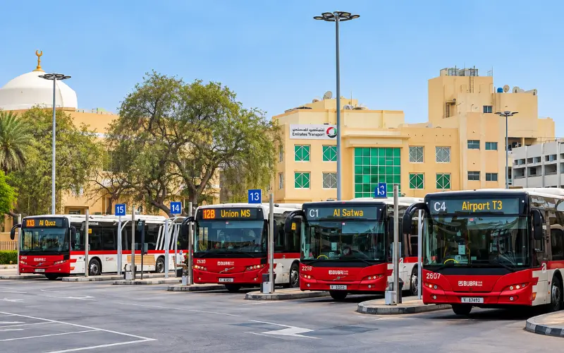 Al Satwa Buses