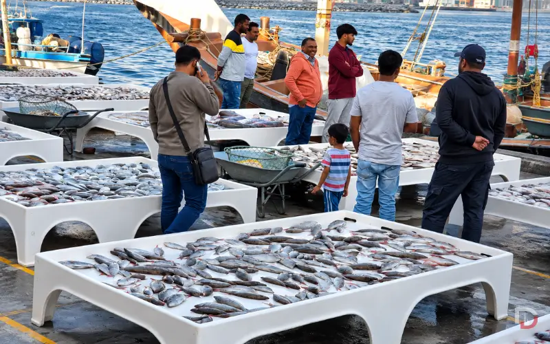 Ajman Fish Market stalls