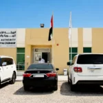 15 Best PPC Cards in UAE 2026: Features, Benefits & Comparison