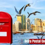 NOL Card Balance Check: Online, SMS, App & Station Methods (2026)
