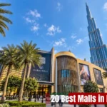UAE Overstay Fine Check: How to Check and Pay Your Visa Fine Online